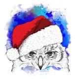Il manifesto di natale con il ritratto del gufo di immagine in cappello del ` s di Santa Illustrazione di vettore Fondo astratto Fotografia Stock Il manifesto di natale con il ritratto del gufo di immagine in cappello del ` s di Santa Illustrazione di vettore Fondo astratto Fotografia Stock
