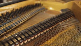 Il meccanismo interno del piano del piano archivi video Il meccanismo interno del piano del piano archivi video