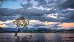 Il mio albero di Wanaka al tramonto in Nuova Zelanda video d archivio Il mio albero di Wanaka al tramonto in Nuova Zelanda video d archivio