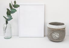 Il modello bianco della struttura, ramo dell'eucalyptus in bottiglia di vetro, ciotola del cemento, ha disegnato l'immagine pulit fotografia stock libera da diritti Il modello bianco della struttura, ramo dell'eucalyptus in bottiglia di vetro, ciotola del cemento, ha disegnato l'immagine pulit fotografia stock libera da diritti