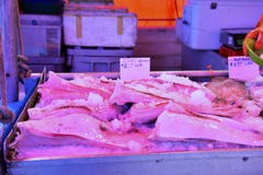 Il molo del pescatore di Steveston immagini stock libere da diritti Il molo del pescatore di Steveston immagini stock libere da diritti