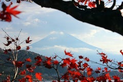 Il monte Fuji fra le foglie rosse immagini stock Il monte Fuji fra le foglie rosse immagini stock