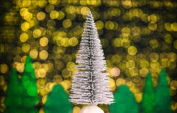 Il Natale abbellisce con l'albero di abete, la foresta e le luci bianche calde nei precedenti immagini stock libere da diritti Il Natale abbellisce con l'albero di abete, la foresta e le luci bianche calde nei precedenti immagini stock libere da diritti