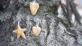 Il Natale beige del tessuto gioca sul ramo nevoso dell'abete nel parco dell'inverno archivi video Il Natale beige del tessuto gioca sul ramo nevoso dell'abete nel parco dell'inverno archivi video