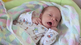 Il neonato è nella greppia Il neonato è nella greppia