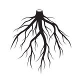 Il nero pianta l'albero Illustrazione di vettore illustrazione vettoriale Il nero pianta l'albero Illustrazione di vettore illustrazione vettoriale