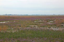 Il paesaggio naturale della località ha chiamato MESOLE con il backgro fotografie stock libere da diritti Il paesaggio naturale della località ha chiamato MESOLE con il backgro fotografie stock libere da diritti