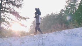 Il papà porta il figlio e le mani sollevate come aereo, famiglia che spende insieme il tempo alla natura video d archivio Il papà porta il figlio e le mani sollevate come aereo, famiglia che spende insieme il tempo alla natura video d archivio