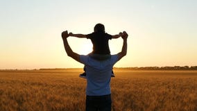 Il papà tiene suo figlio sulle sue spalle e le passeggiate sopra un giacimento di grano durante il tramonto video d archivio Il papà tiene suo figlio sulle sue spalle e le passeggiate sopra un giacimento di grano durante il tramonto video d archivio
