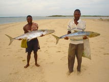 Il pescatore del Mozambico locale ha preso Baracudas con le lenze a mano fotografia stock Il pescatore del Mozambico locale ha preso Baracudas con le lenze a mano fotografia stock
