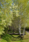Il ponte sopra il ruscello nel villaggio immagine stock libera da diritti Il ponte sopra il ruscello nel villaggio immagine stock libera da diritti