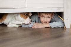 Il ragazzo sveglio gioca sul pavimento su un tappeto con i cuccioli del bulldog inglese fotografia stock Il ragazzo sveglio gioca sul pavimento su un tappeto con i cuccioli del bulldog inglese fotografia stock