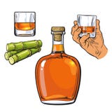 Il rum si è gonfiato la bottiglia, il vetro di colpo della tenuta della mano e la canna da zucchero Immagini Stock Libere da Diritti Il rum si è gonfiato la bottiglia, il vetro di colpo della tenuta della mano e la canna da zucchero Immagini Stock Libere da Diritti