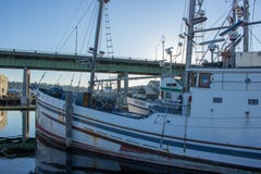 Il ` s del Longliner ha attraccato al terminale del ` s del pescatore a Seattle Washington fotografia stock Il ` s del Longliner ha attraccato al terminale del ` s del pescatore a Seattle Washington fotografia stock
