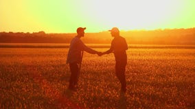Il suolo, un esame di due agricoltori ha frantumato al tramonto Il suolo, un esame di due agricoltori ha frantumato al tramonto
