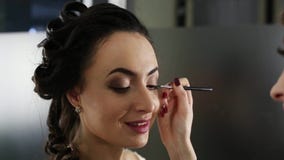 Il truccatore sta facendo un trucco alla ragazza mora archivi video Il truccatore sta facendo un trucco alla ragazza mora archivi video