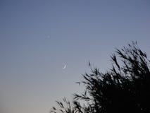 Il Venere e la luna stavano parlando fotografia stock libera da diritti Il Venere e la luna stavano parlando fotografia stock libera da diritti