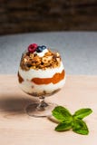 Il yogurt con crema, i mirtilli ed i muesli è servito in vetro sulla tavola fotografie stock libere da diritti Il yogurt con crema, i mirtilli ed i muesli è servito in vetro sulla tavola fotografie stock libere da diritti