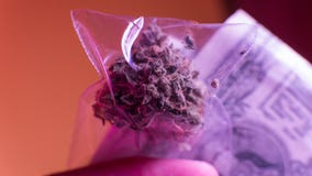 illegal marijuana sale in Europe and Russia. nPlans for legalization for 2018 stock photography illegal marijuana sale in Europe and Russia. nPlans for legalization for 2018 stock photography