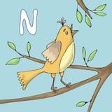Illustrated alphabet letter N and Nightingale. ABC book image vector cartoon. The nightingale sings on a tree branch vector illustration Illustrated alphabet letter N and Nightingale. ABC book image vector cartoon. The nightingale sings on a tree branch vector illustration