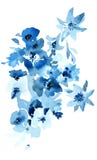 Illustration bleue d'aquarelle de fleurs Objets d'isolement sur le fond blanc pour le desig illustration de vecteur Illustration bleue d'aquarelle de fleurs Objets d'isolement sur le fond blanc pour le desig illustration de vecteur