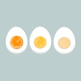Illustration colorée de vecteur des oeufs à la coque Photographie stock Illustration colorée de vecteur des oeufs à la coque Photographie stock