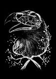 Illustration d'art de conception d'Eagle Skull illustration de vecteur Illustration d'art de conception d'Eagle Skull illustration de vecteur