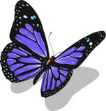 Illustration d'un beau papillon coloré qui vole illustration stock Illustration d'un beau papillon coloré qui vole illustration stock