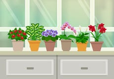 Illustration de fond de plantes d'intérieur illustration stock Illustration de fond de plantes d'intérieur illustration stock