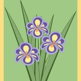 Illustration de vecteur de bouquet des fleurs d'iris Photos stock Illustration de vecteur de bouquet des fleurs d'iris Photos stock