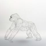 Illustration de vecteur de l'année 2016 de symbole de singe illustration libre de droits Illustration de vecteur de l'année 2016 de symbole de singe illustration libre de droits