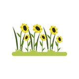 Illustration de vecteur de gisement de tournesol sur un fond blanc illustration stock Illustration de vecteur de gisement de tournesol sur un fond blanc illustration stock