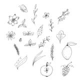Illustration des Blumenelementmusters vektor abbildung Illustration des Blumenelementmusters vektor abbildung