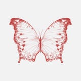 Illustration drawing style of butterfly vector illustration Illustration drawing style of butterfly vector illustration