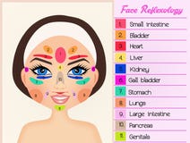 Women S Reflexology Chart