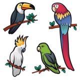 illustration of four cool birds royalty free illustration illustration of four cool birds royalty free illustration
