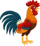 Illustration of happy rooster cartoon Royalty Free Stock Images Illustration of happy rooster cartoon Royalty Free Stock Images