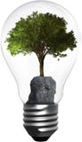 Light Bulb, Tree, Environment, Isolated, Energy, Green