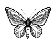 Illustration noire et blanche de vecteur d'un papillon Croquis tir? par la main d'insecte Dessin graphique d?taill? de brun de mu illustration de vecteur Illustration noire et blanche de vecteur d'un papillon Croquis tir? par la main d'insecte Dessin graphique d?taill? de brun de mu illustration de vecteur