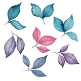 Set of hand drawn watercolor leaves, herbs and branches isolated on white, botanical clip art with colorful herbal design elements