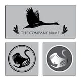 Illustration of Set white and Black Swans Logo. Design template. vector illustration Illustration of Set white and Black Swans Logo. Design template. vector illustration