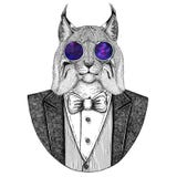 Illustration tirée par la main animale sauvage de Lynx Bobcat Trot Hipster de chat pour le tatouage, emblème, insigne, logo, corr illustration stock Illustration tirée par la main animale sauvage de Lynx Bobcat Trot Hipster de chat pour le tatouage, emblème, insigne, logo, corr illustration stock