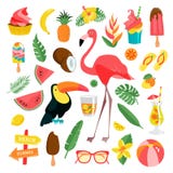 Illustrations tropicales réglées illustration de vecteur Illustrations tropicales réglées illustration de vecteur