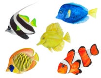 Set of sea fish watercolor royalty free illustration Set of sea fish watercolor royalty free illustration