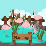 Illustrator van flamingo in de dierentuin vector illustratie Illustrator van flamingo in de dierentuin vector illustratie