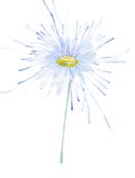 Illustrazione astratta della camomilla dell'acquerello Isolato su priorità bassa bianca royalty illustrazione gratis Illustrazione astratta della camomilla dell'acquerello Isolato su priorità bassa bianca royalty illustrazione gratis