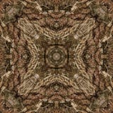 illustrazione 3D Immagine astratta di una superficie di legno di una corteccia di un albero Fotografia Stock illustrazione 3D Immagine astratta di una superficie di legno di una corteccia di un albero Fotografia Stock