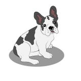 Illustrazione del cucciolo del bulldog francese illustrazione vettoriale Illustrazione del cucciolo del bulldog francese illustrazione vettoriale