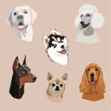 Illustrazione di specie di Dod royalty illustrazione gratis Illustrazione di specie di Dod royalty illustrazione gratis