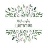 Illustrazione disegnata a mano dell'acquerello Struttura botanica con la b verde illustrazione vettoriale Illustrazione disegnata a mano dell'acquerello Struttura botanica con la b verde illustrazione vettoriale